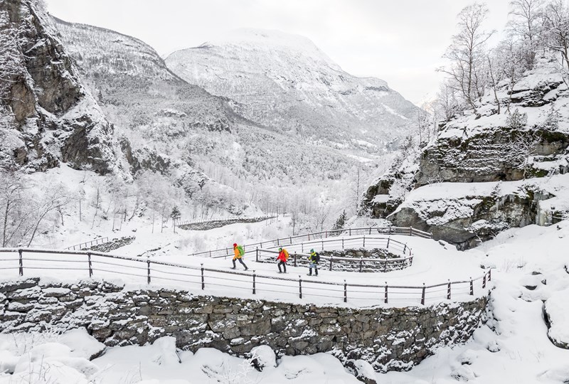 SCO_27.1.18-136.jpg
