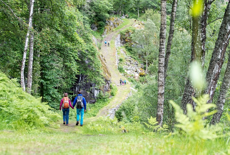 SCO_20.06.17-3784.jpg