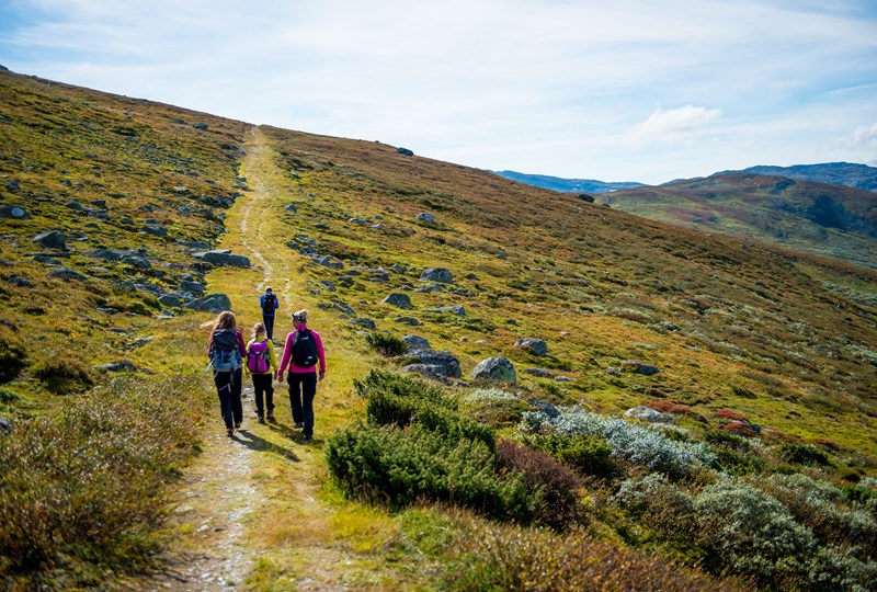 Kongevegen, Kyrkjestølen - Maristova. Foto by Sverre Hjørnevik.jpg