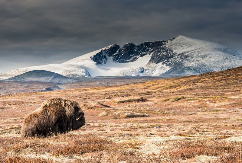 Photo- Roger Brendhagen-1-3.jpg