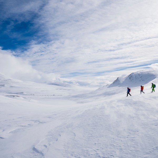 Yngve Ask / Mountains of Norway