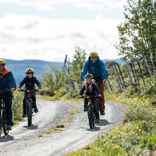 Scanout.com - Mountains of Norway