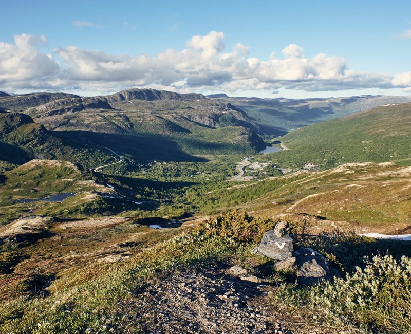 Petter Olsen