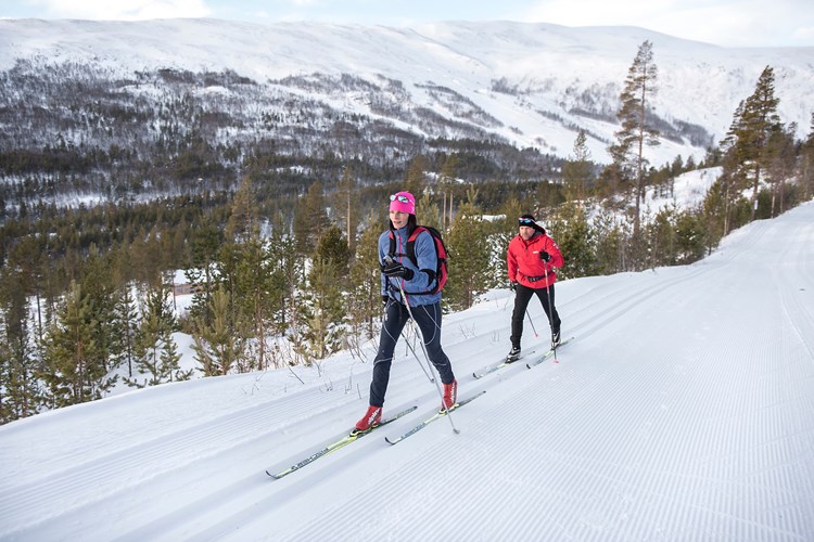Cross country skiing by Lemonsjøen.