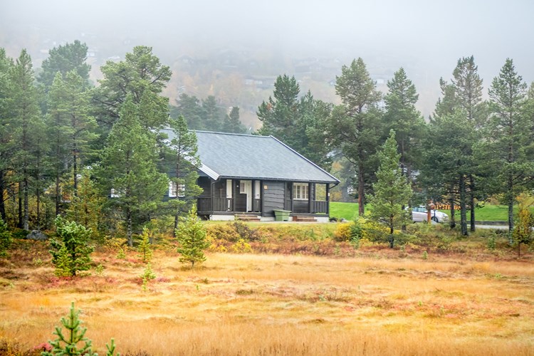 Exterior image of Geilolia Forest Cabins