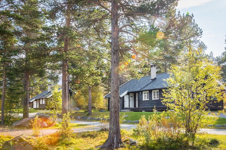 Exterior image of Geilolia Forest Cabins